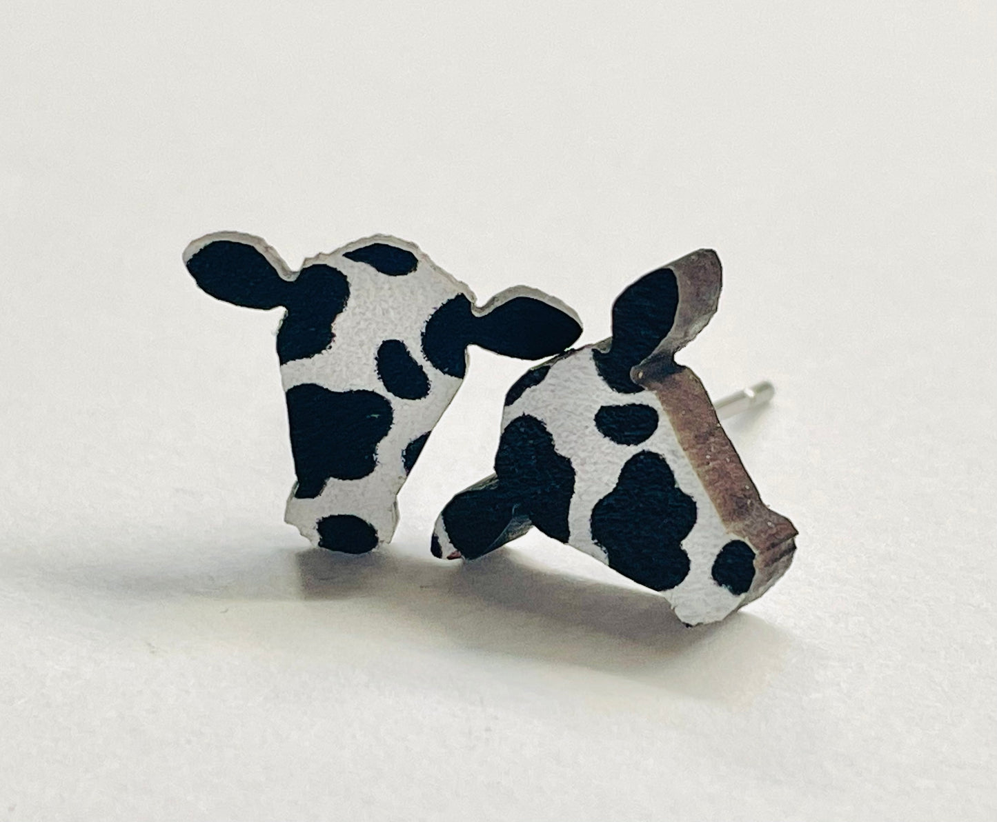 Cow Studs